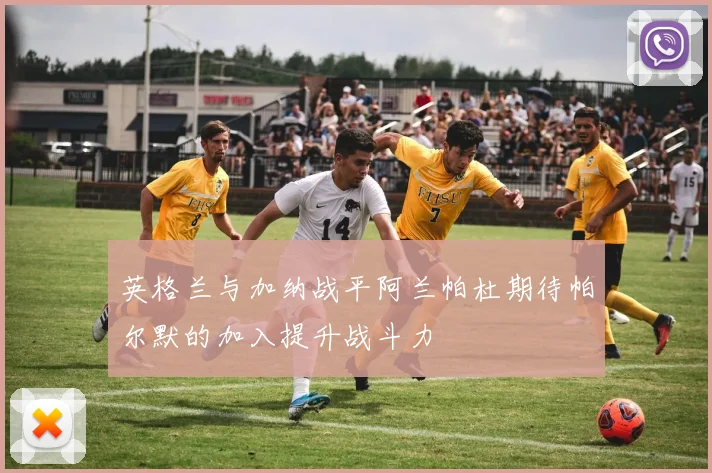 英格兰与加纳战平阿兰帕杜期待帕尔默的加入提升战斗力