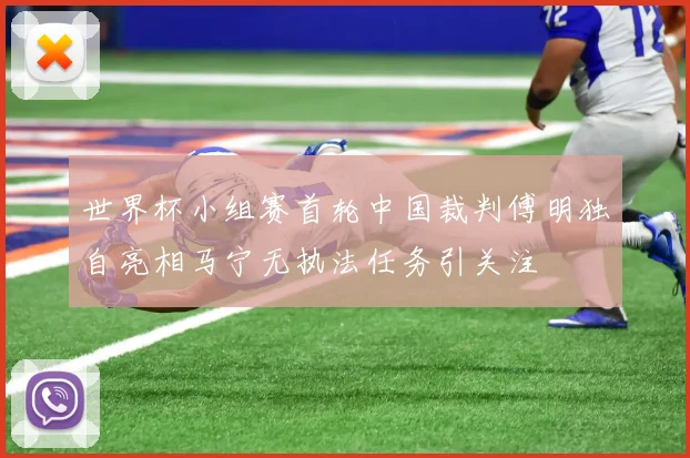 世界杯小组赛首轮中国裁判傅明独自亮相马宁无执法任务引关注